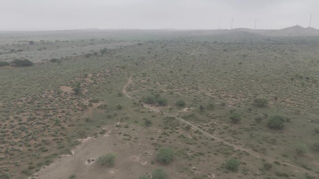 Aerial shot of Thar Desert, Jaisalmer, Rajasthan, taken on a monsoon morning after rain, showing green desert vegetation like Khejri, Rohida, and Babool trees with windmills visible in the background