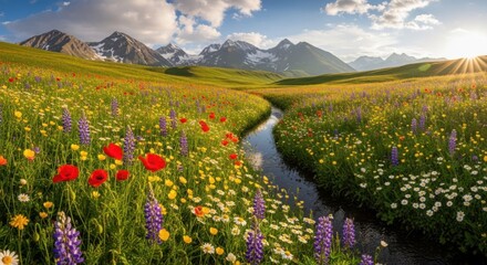 Obraz premium Vibrant Alpine Meadow with Wildflowers, Stream, and Snowy Mountains at Sunset