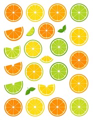 Obraz premium Colorful, simple illustration of various citrus fruit slices and leaves