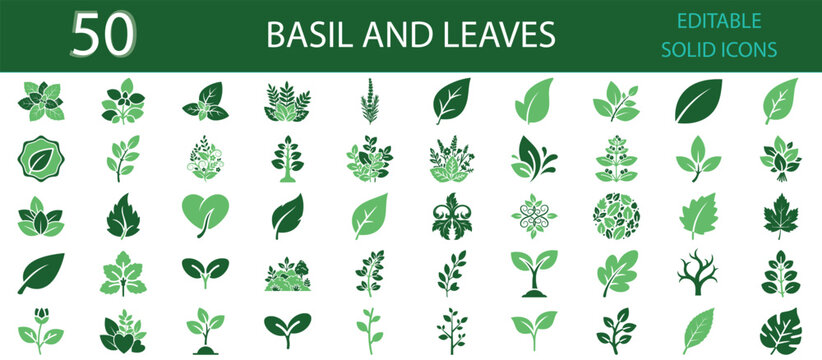 Basil and leaves solid fill icons set of 50 vector symbols for herbal plants, foliage, greenery, botany, and organic nature. Editable solid green glyph icons for design, agriculture, and eco projects