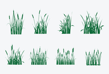 green Cattails vector art with white background, graphics