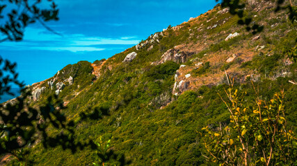 Island Beach Scenic Nature Summer Adventure Outdoors Travel Trip Hiking Trail Lagoinha Leste Florianópolis Santa Catarina Brazil Tropical Paradise Coastal Landscape Vacation Destination South America