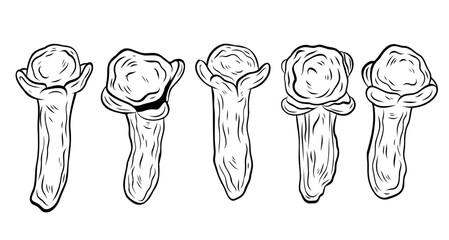 Set, clip art of monochrome botanical spicy dry cloves spice. Graphic hand drawn ink black and white vector. Mulled wine component. Good for eco-style crafting, cooking, spa, medicine, beauty, decor