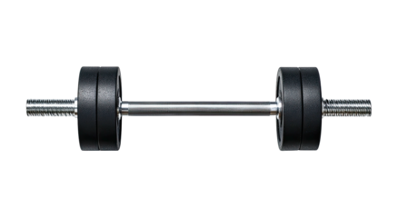A dumbbell, black weights, metal bar