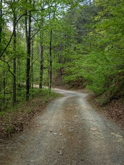 Dirt road in Chattahoochee National Forest in north Georgia in spring time