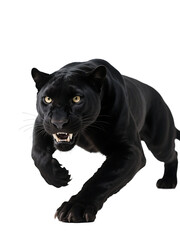 Fototapeta premium A black panther in full stride, displaying sharp teeth and a powerful, predatory posture in its natural wild setting.