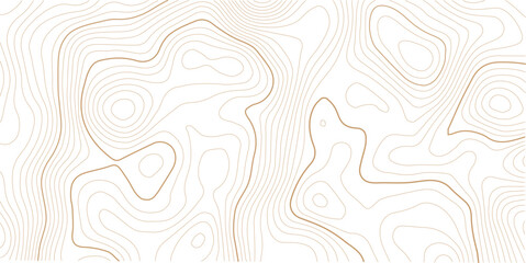 Fototapeta premium Topographic map background. Geographic line map with elevation assignments. Contour background geographic grid.