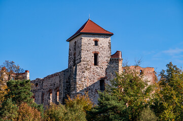 Zamek Tenczyn