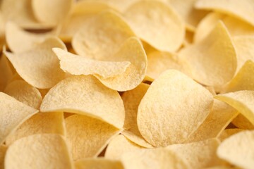 Homemade Flavored Paprika Potato Chips in a Bowl, top view. Flat lay