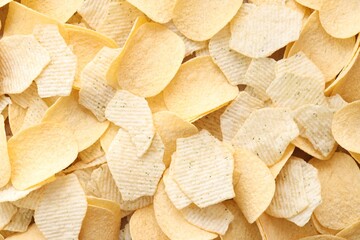 Homemade Flavored Paprika Potato Chips in a Bowl, top view. Flat lay