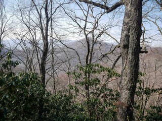 View of mountains in Nantahala National Forest in North Carolina through rhododendron trees
