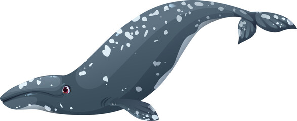 Cartoon cute gray whale whale character. Underwater life big mammal cute character, ocean marine animal happy vector cartoon mascot. Ocean fauna whale specie funny isolated personage © Buch&Bee
