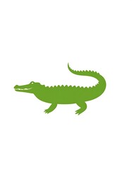 A green stylized cartoon alligator standing on a white background