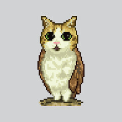 Owl cat, pixel art illustration