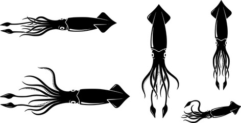 Collection of squid silhouettes in various poses for marine themes