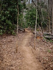 Dirt bike trail in eastern Tennessee mountains in spring through rhododendron leafy trees