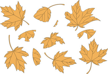 Autumn leaves, orange brown tones, broken and whole, seasonal illustration, botanical design, fall foliage, scattered, nature, vector, art