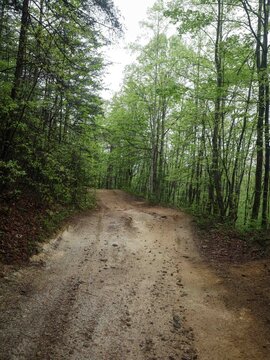 Muddy ATV trail in Brushy Mountains in North Carolina