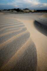 sand dunes on the beach