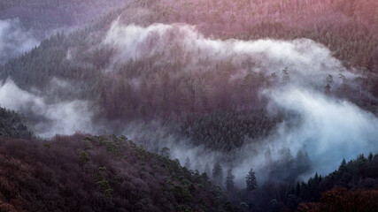 Aussicht vom Luitpoldturm auf die Täler des Pfälzerwaldes bei Sonnenaufgang mit Nebel