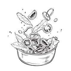 Sketch of Salad or Greens. Hand drawn ink vector illustration of Mixed greens. Linear graphic elements fast food for design isolated on white background.