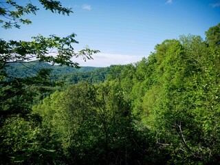 Obraz premium View of Appalachian Mountains in West Virginia in Hatfield McCoy trail system