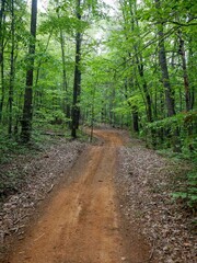 Forested ATV trail in Virginia in spring in George Washington National Forest with waterbars