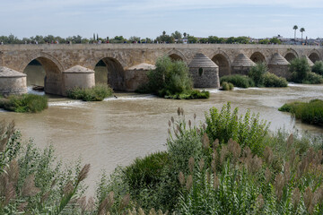 View of the bridge over the Guadalquivir River in Seville, Spain