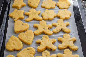 A baking sheet filled with uncooked molded cookies ready for baking in the oven, the process of home baking, and a variety of festive cookie cutters