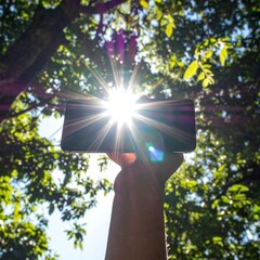 A hand holding a device towards the sun, filtered by foliage