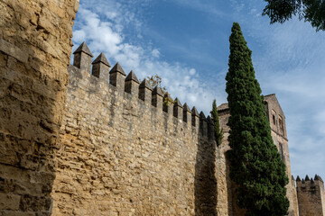View of Seville Cathedral, Spain