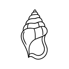 Simple seashell outline illustration on white background showing spiral form