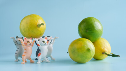 Cute toy kittens with raised paws harvest fresh limes in a playful farm scene, teaching kids about picking and produce in an educational game. Photo