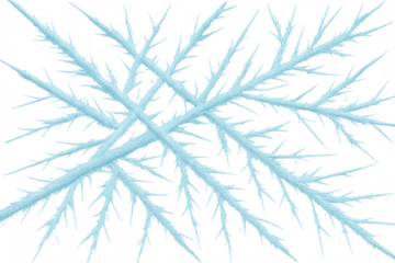 Frozen branches forming icy frost winter background