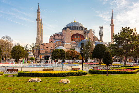 Hagia Sophia Grand Mosque on Sultanahmet square in spring, Istanbul, Turkey
