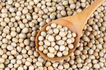 Dried soybean on the white background
