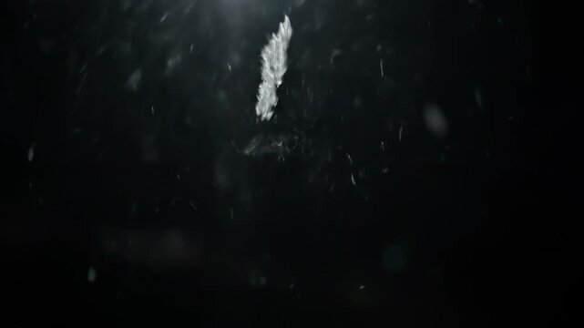 Atmospheric close-up of large snow flakes slowly swirling and falling through the dark night sky illuminated by a soft glow nature, movement, seasonal