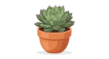 Fototapeta premium Echeveria Succulent Plant in Terracotta Pot PNG