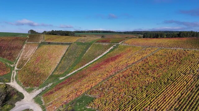 Vue a&eacute;rienne du plus grand terroir de toute la Champagne (866 hectares de vignes), class&eacute; au patrimoine mondial de l&rsquo;UNESCO : Les vignobles des communes des Riceys, dans l'Aube, en automne