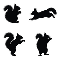 Dynamic squirrel silhouettes in various poses for creative projects vector