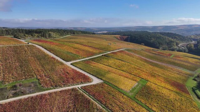 Vue a&eacute;rienne du plus grand terroir de toute la Champagne (866 hectares de vignes), class&eacute; au patrimoine mondial de l&rsquo;UNESCO : Les vignobles des communes des Riceys, dans l'Aube, en automne