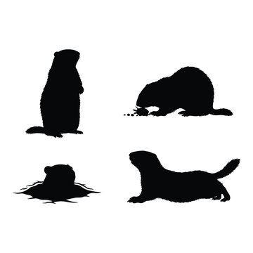 Silhouette collection of groundhog poses for wildlife and nature projects vector