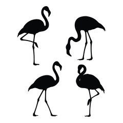Elegant flamingo silhouettes collection set of four graceful birds in diverse poses vector