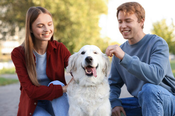 Happy couple with their adorable golden retriever dog in park