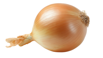 A single fresh onion rests on a clean white background or transparent png , showcasing its smooth golden skin and natural, crisp texture.