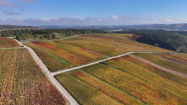 Vue a&eacute;rienne du plus grand terroir de toute la Champagne (866 hectares de vignes), class&eacute; au patrimoine mondial de l&rsquo;UNESCO : Les vignobles des communes des Riceys, dans l'Aube, en automne