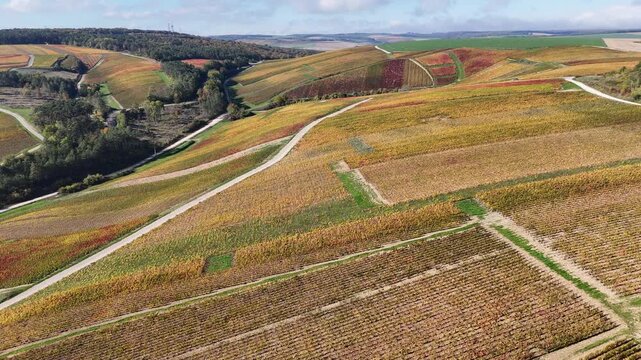 Vue a&eacute;rienne du plus grand terroir de toute la Champagne (866 hectares de vignes), class&eacute; au patrimoine mondial de l&rsquo;UNESCO : Les vignobles des communes des Riceys, dans l'Aube, en automne