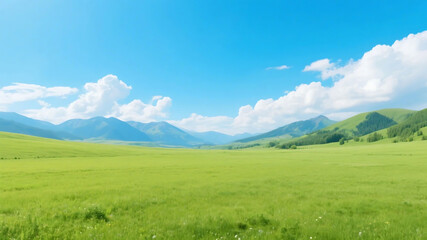 Fototapeta premium A vast green meadow stretches under a clear blue sky with distant mountains, showcasing a natural and serene landscape.