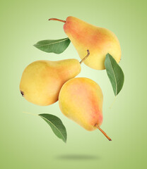 Fresh pears and leaves falling on light green background