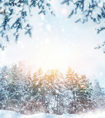 Merry Christmas and happy New Year. Snowy winter landscape. frozen fir trees